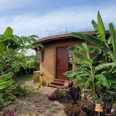 Eco Loft Maymuna: Seu Loft Ecologico Pertinho Da Praia Villa Pôrto de Pedras Kültér fotó